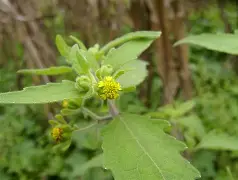 a婼墶>?t潲嶀福憜㏄豨 