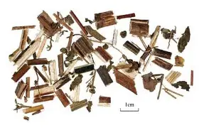 a婼墶>?t潲嶀福憜㏄豨 